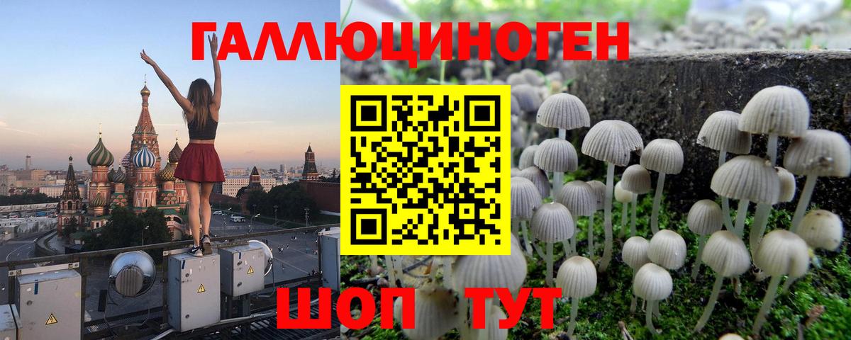 Благодарный  Псилоцибиновые грибы GOLDEN TEACHER  Вход с VPN 